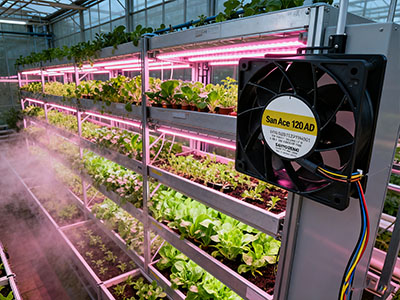 植物工厂：从温控到能控的核心是风——散热风扇